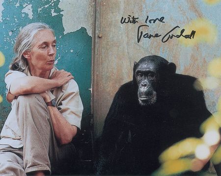 Lot #313 Jane Goodall Signed Photograph - Image 1