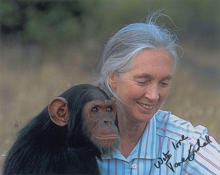 Lot #313 Jane Goodall Signed Photograph - Image 2