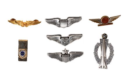 Lot #622 Aviation Wings - Image 1