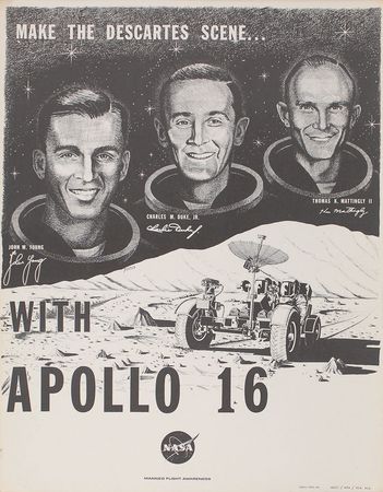 Lot #450 Apollo - Image 2