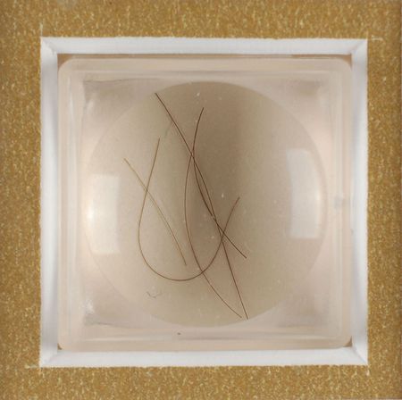 Lot #115 Abraham Lincoln and William H. Seward Hair - Image 2