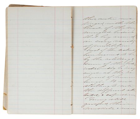 Lot #397 Confederate Diary Diary - Image 2