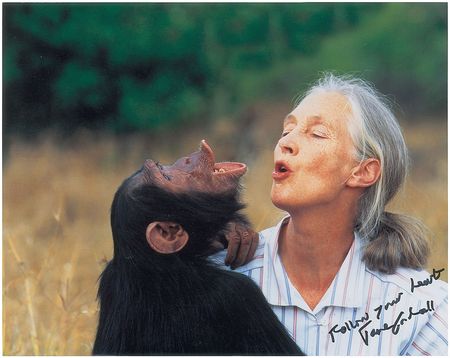 Lot #356 Jane Goodall Signed Photographs - Image 1