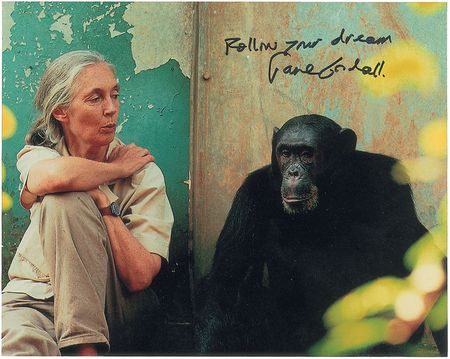 Lot #356 Jane Goodall Signed Photographs - Image 2