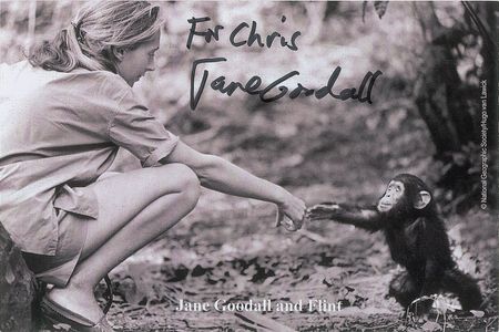 Lot #369 Jane Goodall - Image 2