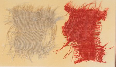 Lot #363 Confederate Flag Remnants Flag Remnants - Image 2