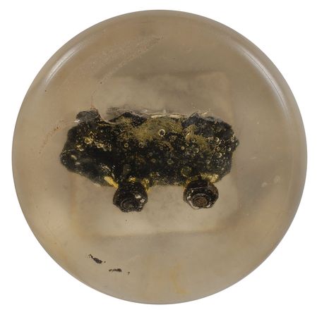 Lot #6089 Guenter Wendt’s Liberty Bell 7 Heat Shield Strap - Image 1
