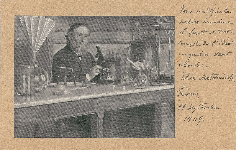 Lot 253 Elie Metchnikoff Signed Quote