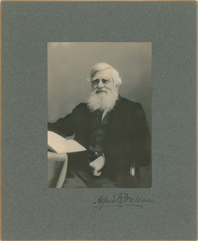 Lot 391 Alfred Wallace Signed Photograph