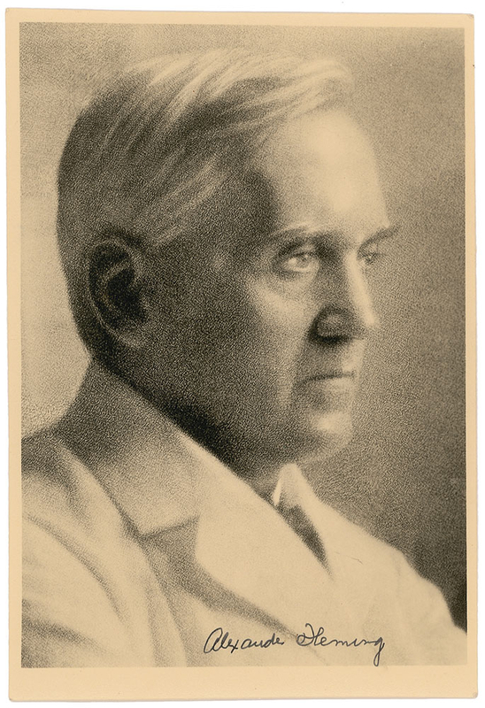 Lot 250 Alexander Fleming: Scarce portrait of the penicillin pioneer