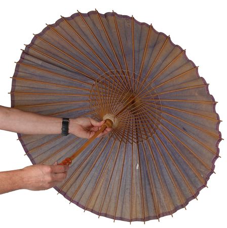 Lot #584 Prince: Parasol with Pin Parasol and Pin - Image 3