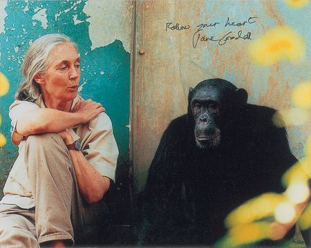 Lot #313 Jane Goodall Signed Photographs - Image 2