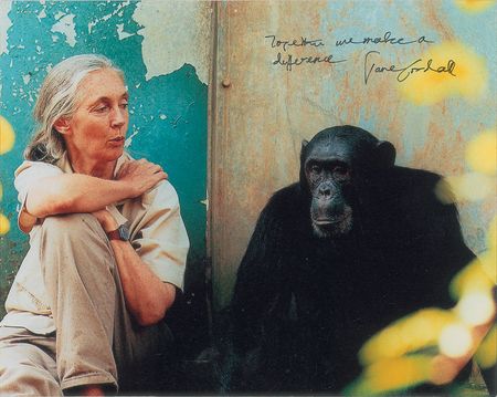 Lot #313 Jane Goodall Signed Photographs - Image 3