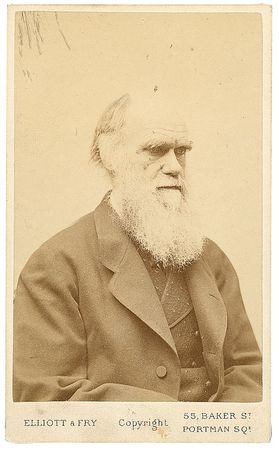 Lot #223 Charles Darwin: Darwin excitedly reports on the origins of infectious diseases - Image 5