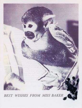 Lot #6036 Miss Baker Paw ‘Signed’ Print Photograph - Image 1