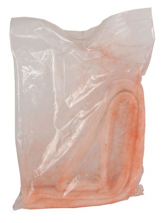 Lot #6510 STS-89 TPS-Thermal Barrier - Image 1