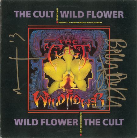 Lot #729 The Cult Album - Image 1