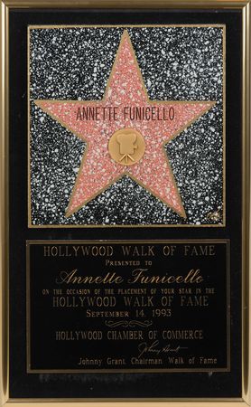 Lot #7382 Annette Funicello?s Hollywood Walk of Fame Plaque - Image 1