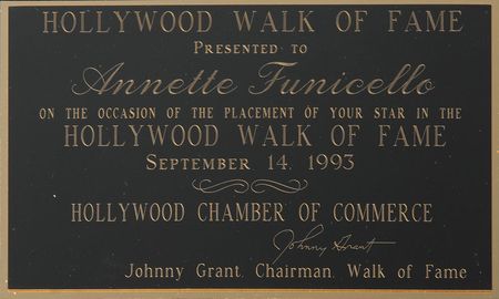 Lot #7382 Annette Funicello?s Hollywood Walk of Fame Plaque - Image 3