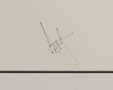 Lot #7327 U2 Signed Lithograph - Image 3