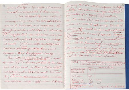 Lot #20 Erwin Neher Handwritten Manuscript - Image 3