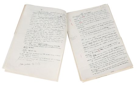 Lot #7 Tadeusz Reichstein Handwritten Manuscript - Image 3