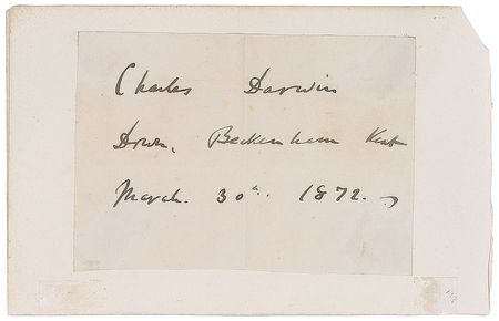 Lot #24 Charles Darwin: Bold full signature from