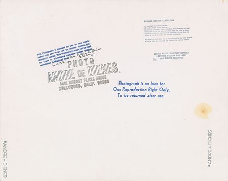 Lot #677 Marilyn Monroe: Intimate portrait by de Dienes - Image 2