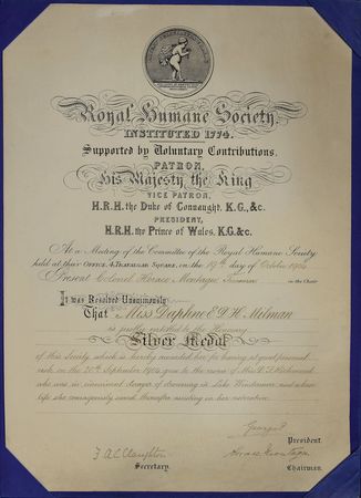 Lot #291  King George V - Image 1