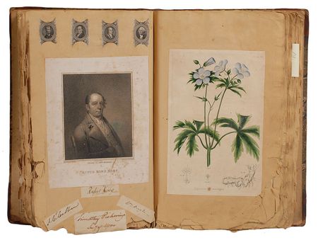 Lot #238 Davy Crockett - Image 8