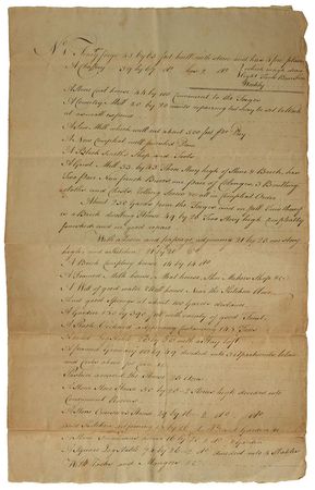 Lot #154 Pine Forge Iron Plantation - Image 1