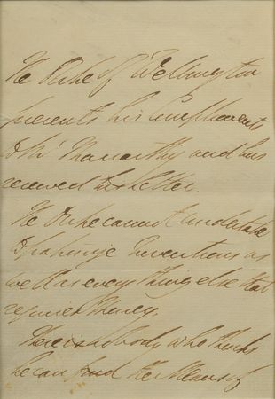 Lot #260 Duke of Wellington: 