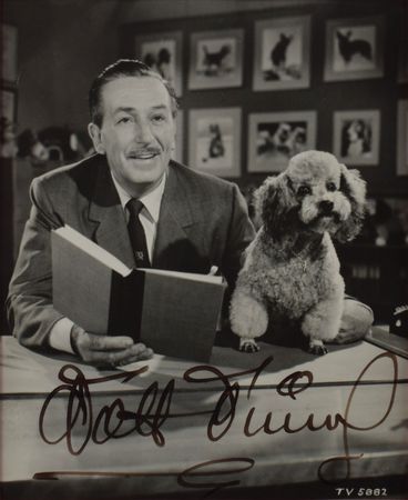 Lot #342 Walt Disney: Superior uninscribed portrait of Disney and pup - Image 2