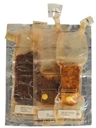 Lot #8109  Gemini-Era Freeze Dried Food - Image 1