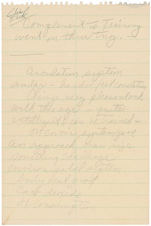 Lot #8059  MA-5 Flown Parachute Segment - Image 2