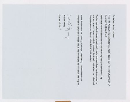 Lot #8138  Apollo Blue Gas Connector Dust Plug - Image 6