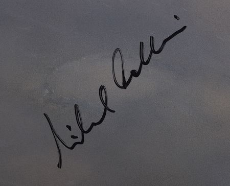 Lot #8238 Buzz Aldrin and Michael Collins Signed Print - Image 2