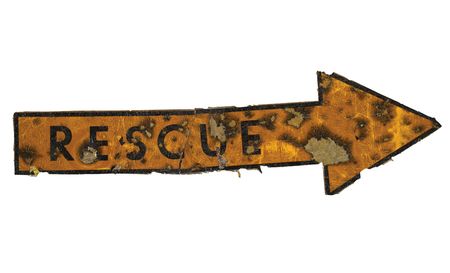 Lot #8216  Apollo 11 Flown Command Module Columbia Rescue Arrow from Crew Hatch - Image 1