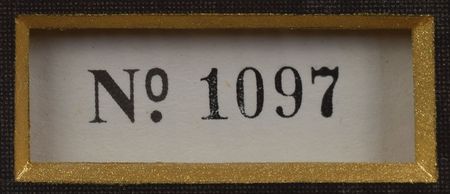 Lot #9076 John and Jacqueline Kennedy Dallas Love Field Reception Badge - Image 3