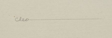 Lot #735 Cleo production cel from Pinocchio: Rare Courvoisier set-up of Geppetto's pet goldfish - Image 2