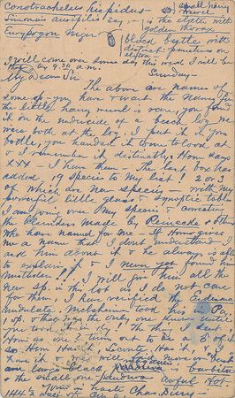 Lot #21  Entomologists - Image 1