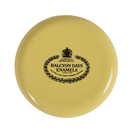 Lot #233 Prince Charles Enamel Box - Image 3