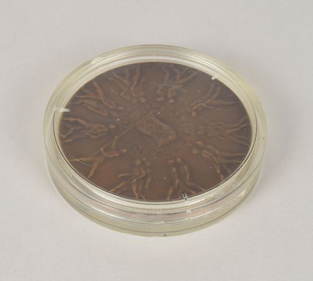 Lot #3110  Melbourne 1956 Summer Olympics Bronze Participation Medal - Image 3