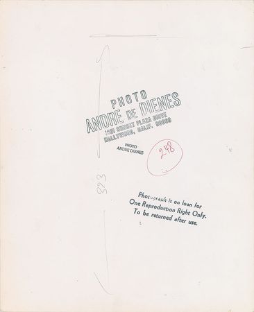 Lot #801 Marilyn Monroe Photograph - Image 2