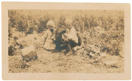 Lot #303 Bonnie Parker: Four year-old Bonnie Parker - Image 1