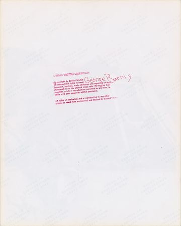 Lot #734 Marilyn Monroe Photograph - Image 2