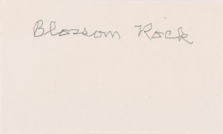 Lot #775  Addams Family: Blossom  Rock - Image 1