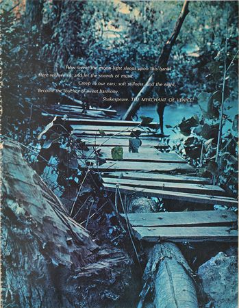 Lot #555 Monterey Pop Festival Program - Image 2