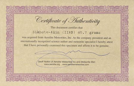 Lot #8158  Sikhote-Alin Iron Meteorite - Image 2
