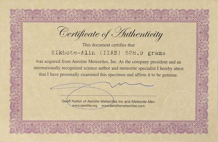 Lot #8159  Sikhote-Alin Iron Meteorite - Image 3